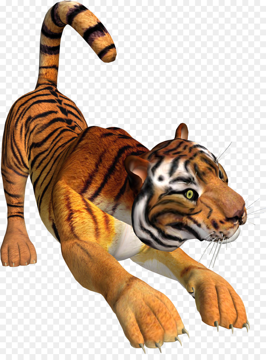 Tigre，Fauna PNG