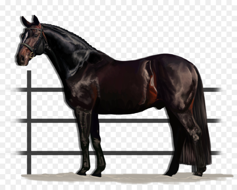 American Quarter Horse，American Paint Horse PNG