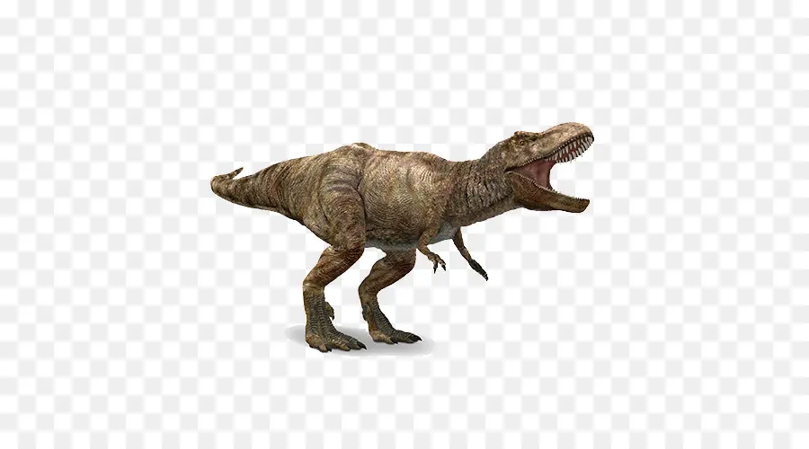 Tyrannosaurus，Apatosauro PNG