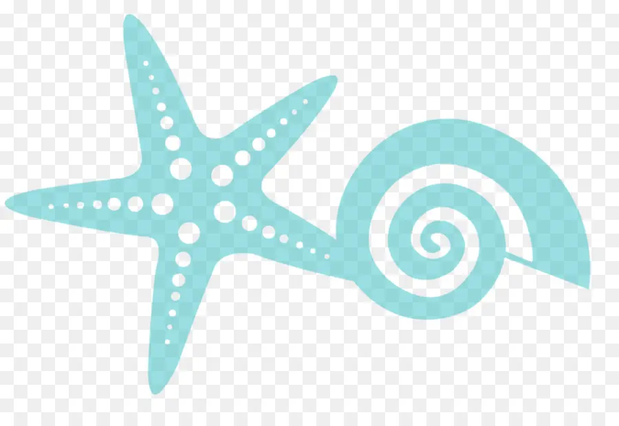 Estrella De Mar Y Concha，Azul PNG