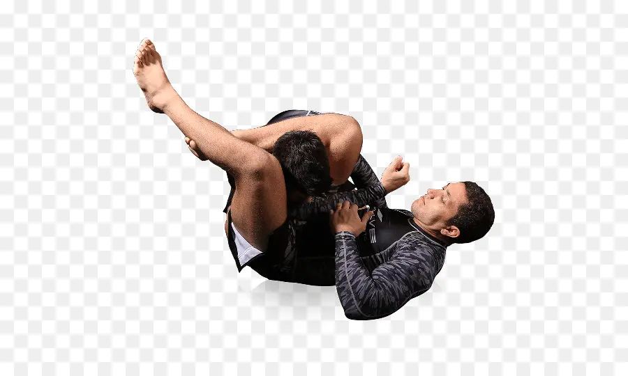 Las Artes Marciales Mixtas，Grappling PNG