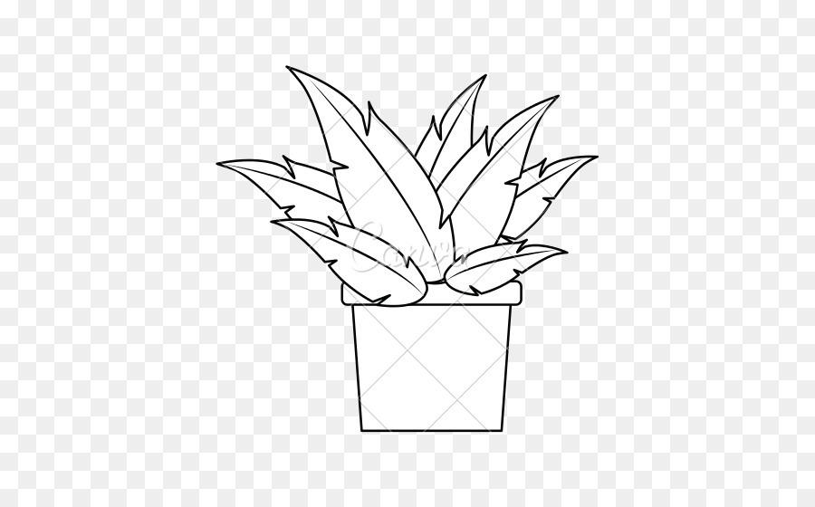 Planta，La Fotografía PNG