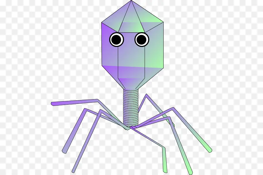 Bacteriófago，Virus PNG