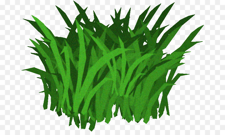 Césped，Verde PNG