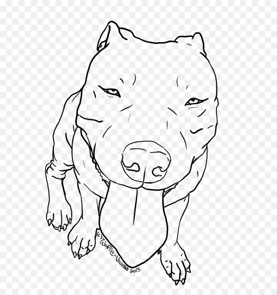 Pit Bull，American Pit Bull Terrier PNG