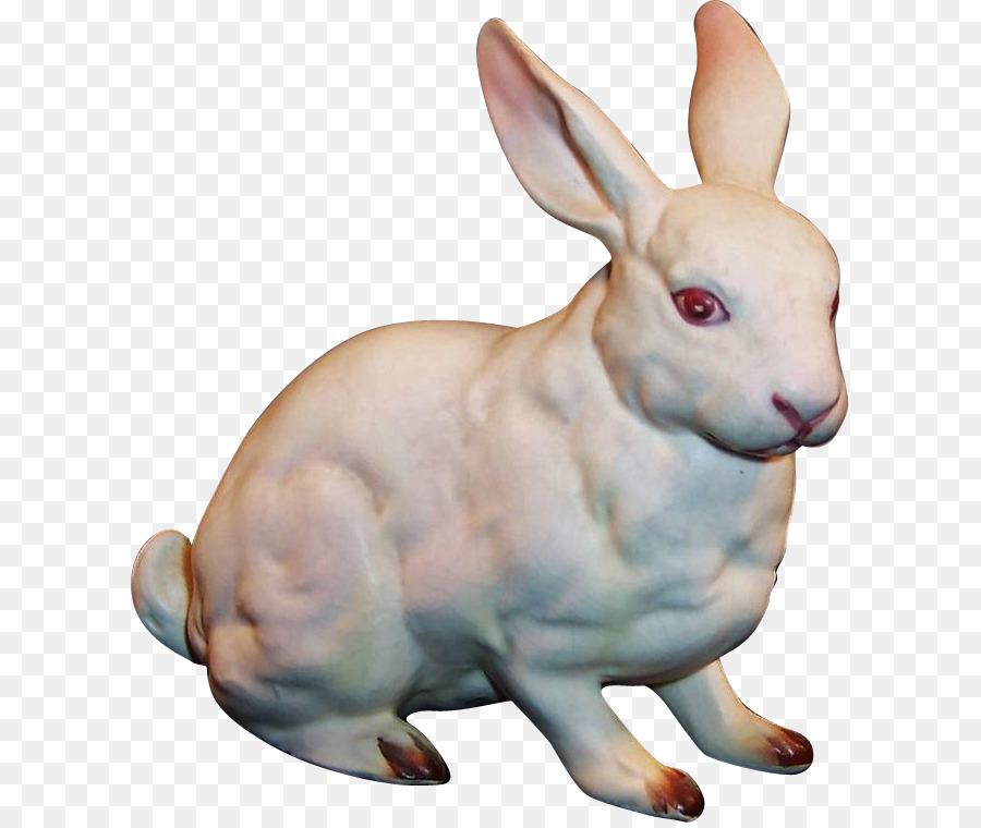 Conejo Blanco，Conejito PNG