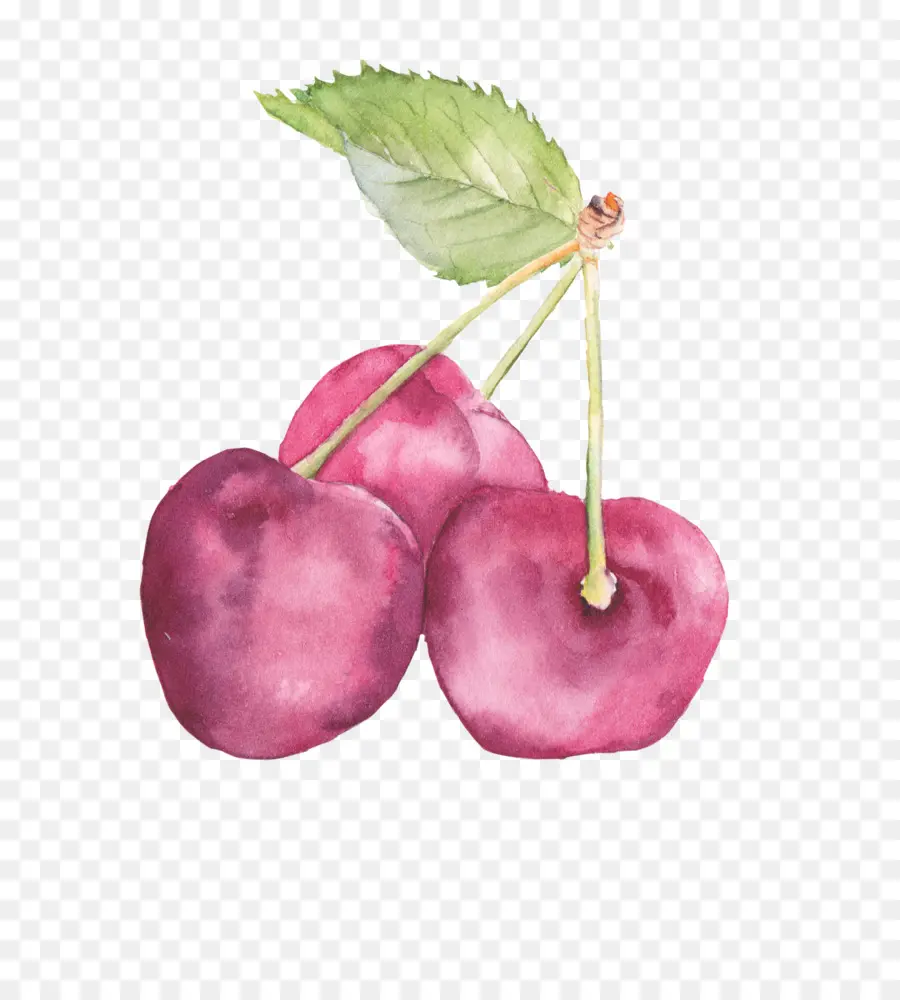 Guindas，Cereza PNG