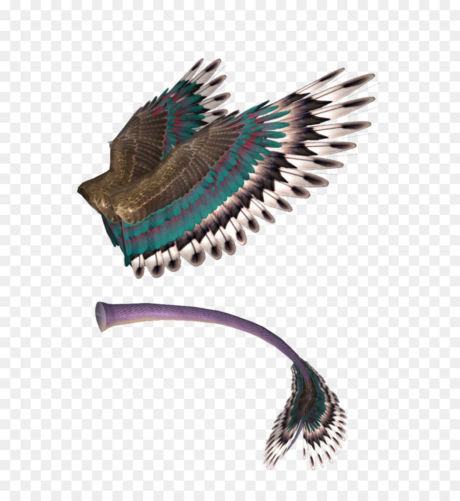 Ala，Pluma PNG