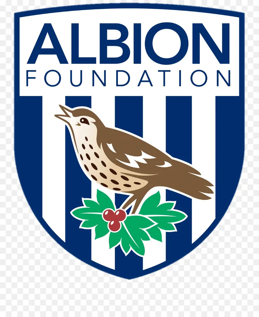 Logotipo De La Fundación Albion，Organización PNG