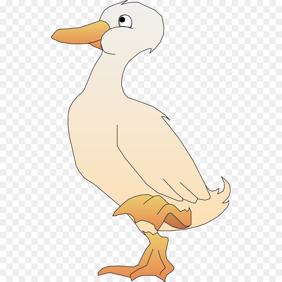 Pato，Pájaro PNG