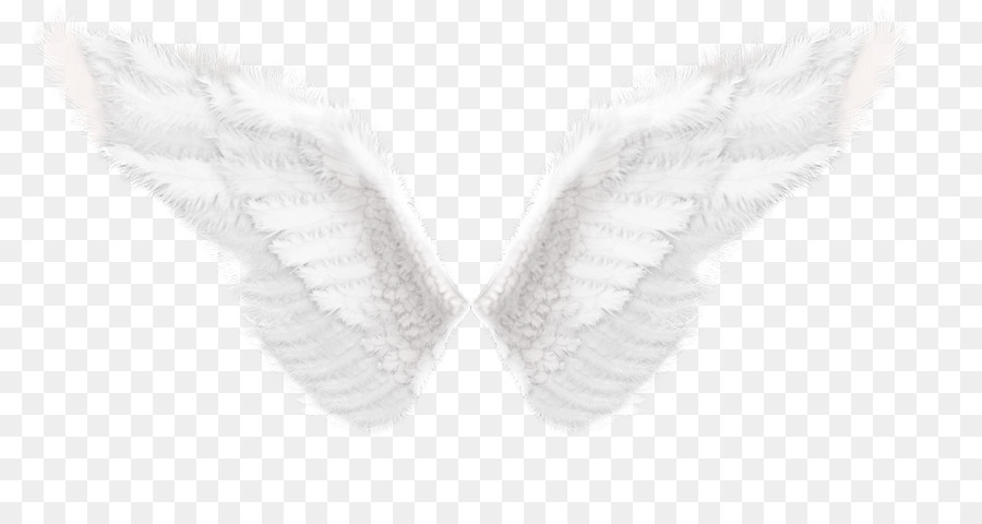 Alas De ángel Blanco，Plumas PNG