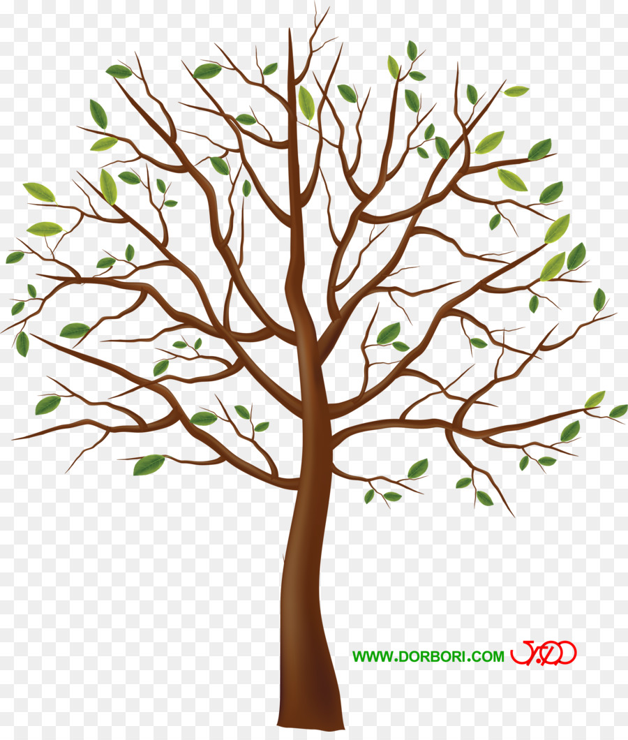 Árbol Estilizado，Árbol PNG