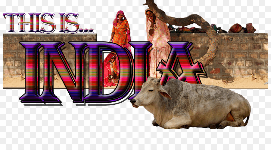 Delhi，Ganado PNG