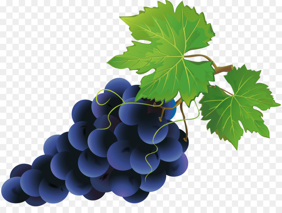 Vino Y Uvas，Vino Tinto PNG