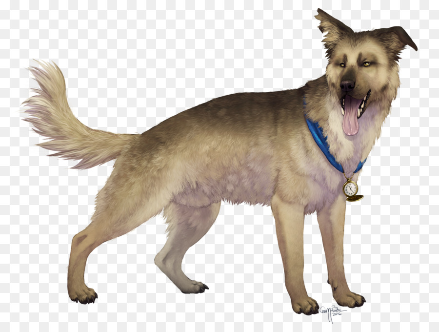 Perro，Mascota PNG