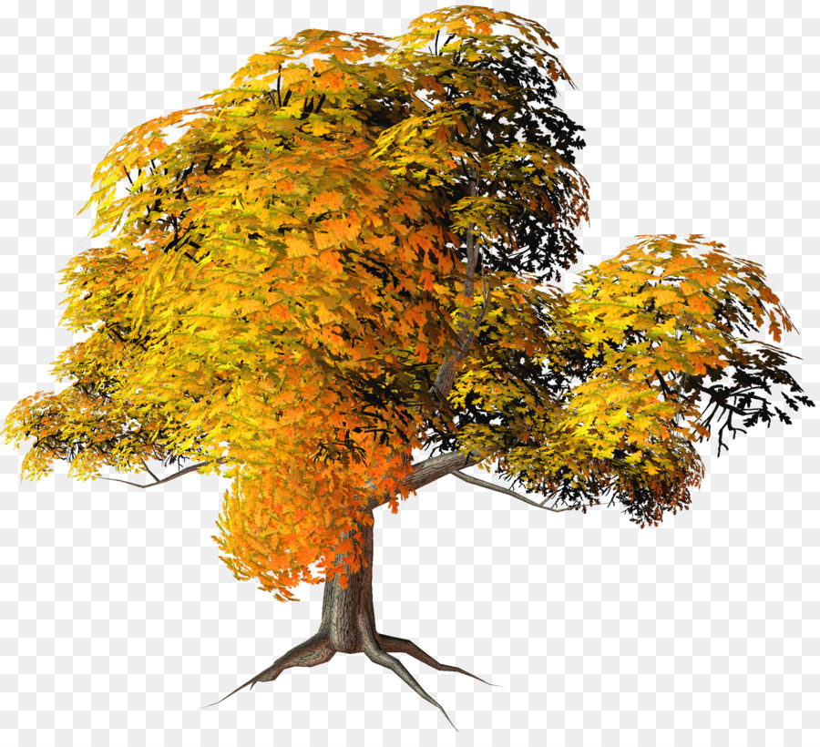 árbol De Otoño，Hojas PNG