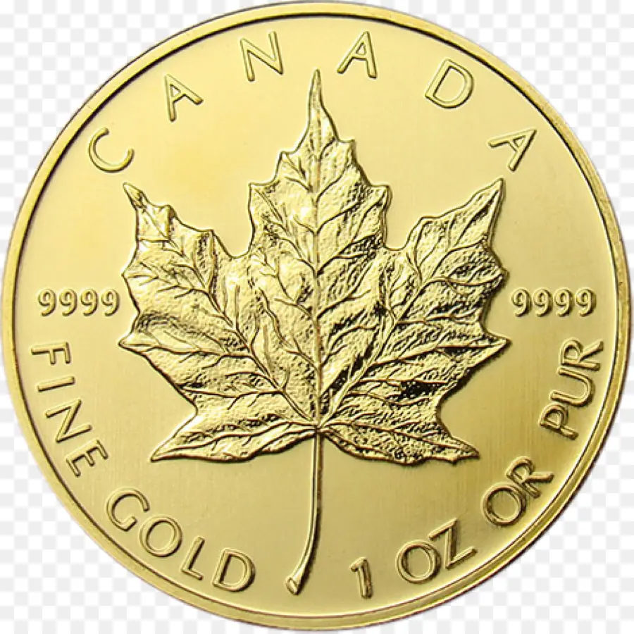 Canadá，Canadiense De Oro De La Hoja De Arce PNG