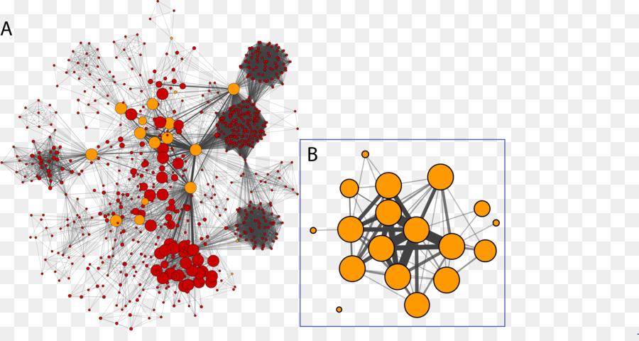 Cytoscape，La Red Social PNG