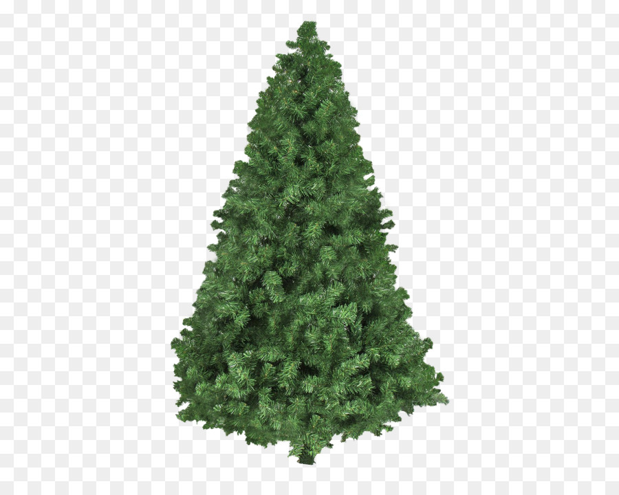 Árbol De Navidad，Árbol PNG