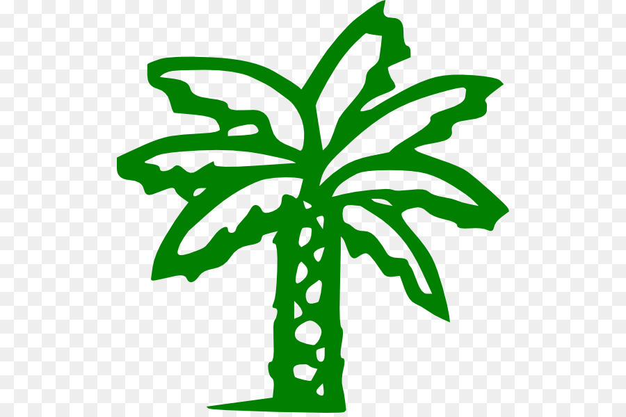 Arecaceae，árbol PNG