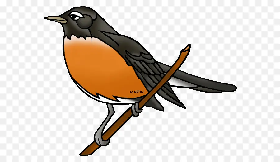 Europea Robin，Estadounidense Robin PNG