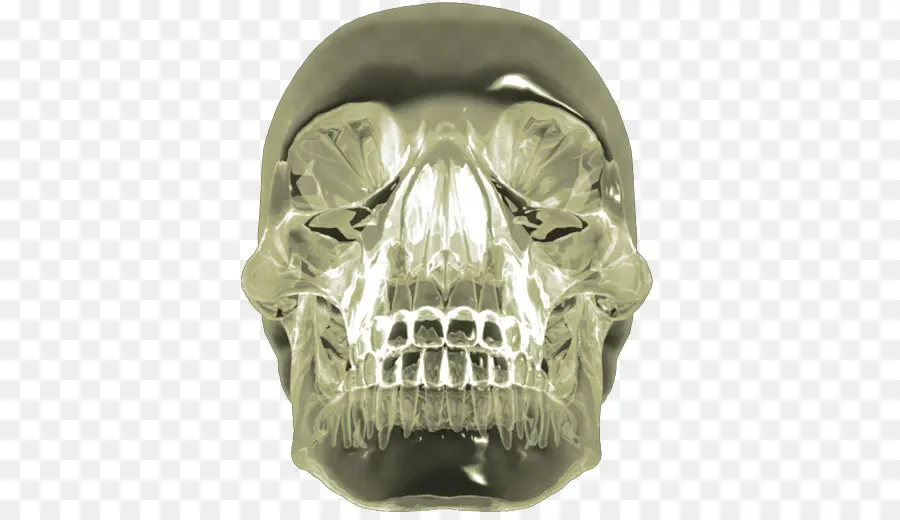 Cráneo De Cristal，Cráneo PNG