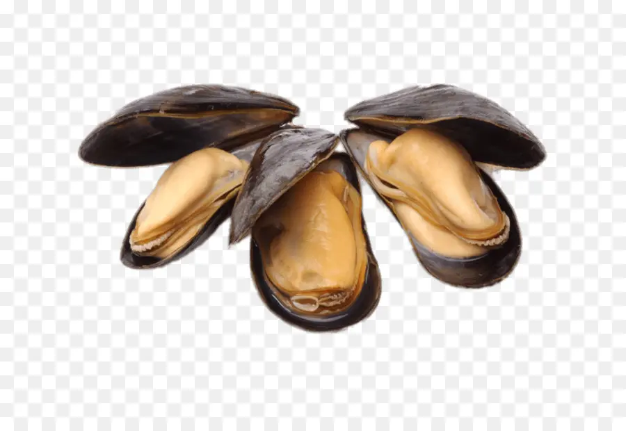 Mejillones，Mariscos PNG