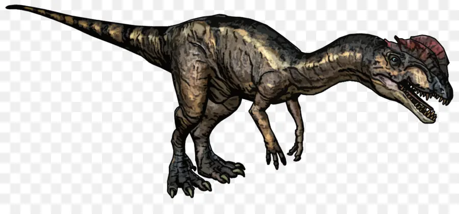 Dilophosaurus，Tyrannosaurus PNG