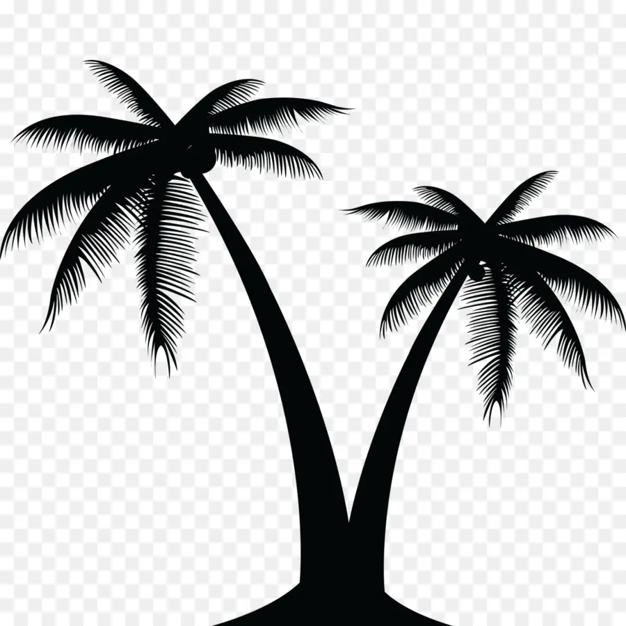 Arecaceae，árbol PNG