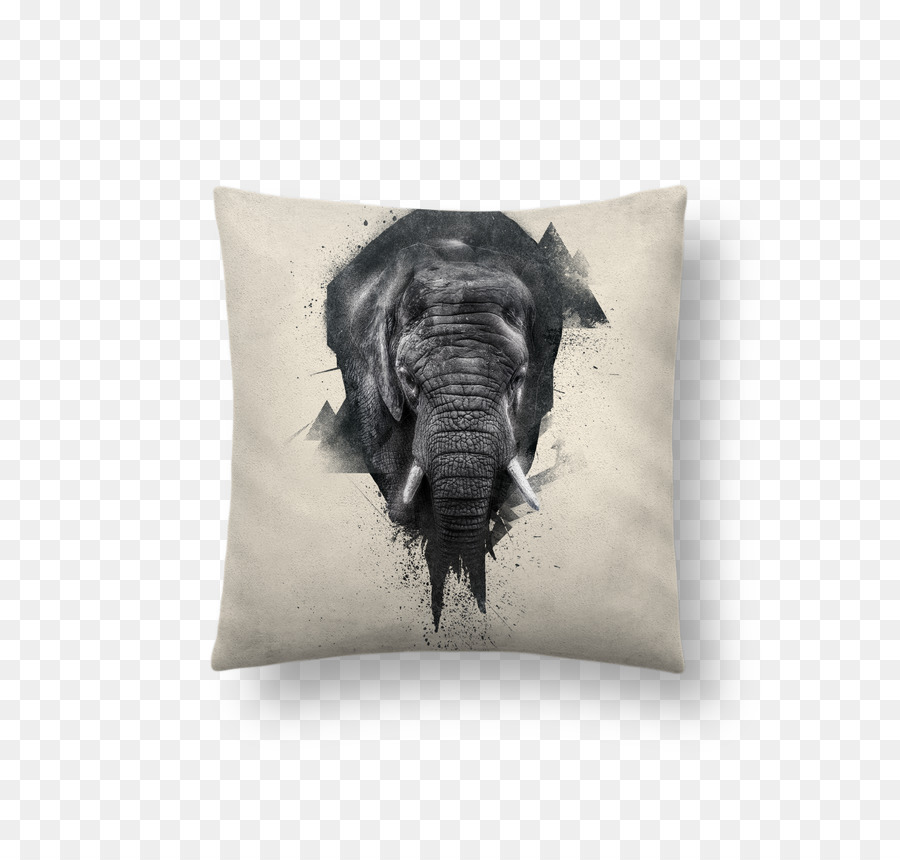 El Elefante Africano，Elefante Asiático PNG