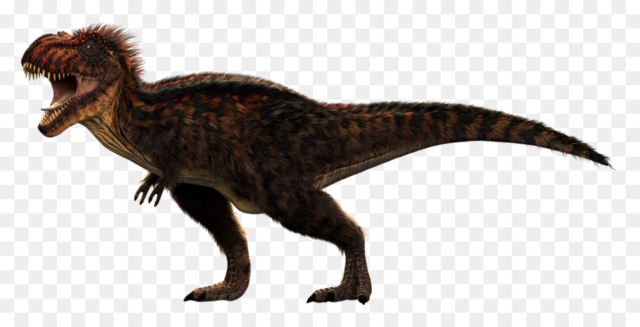 Tiranosaurio，Velociraptor PNG