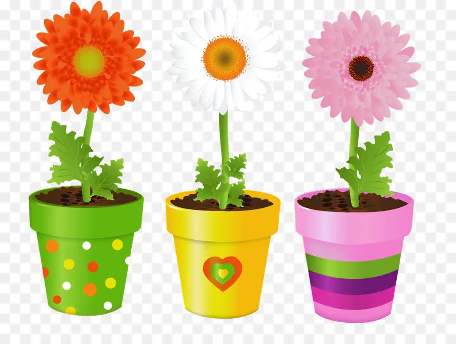 Macetas，Plantas PNG