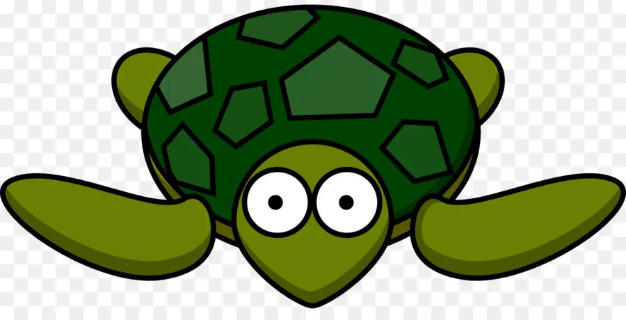 Tortuga，Tortuga Verde PNG