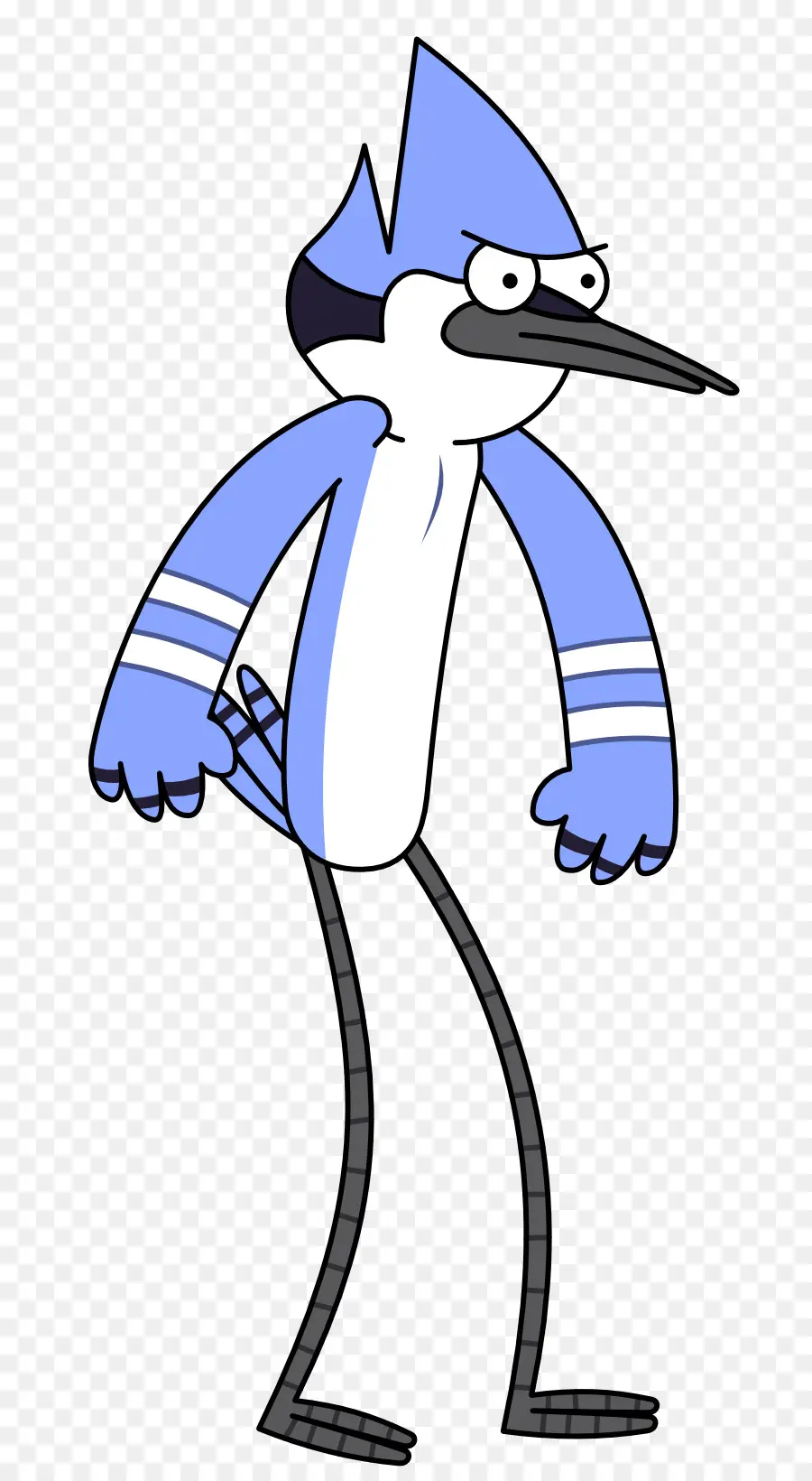 Pájaro Azul，Animación PNG