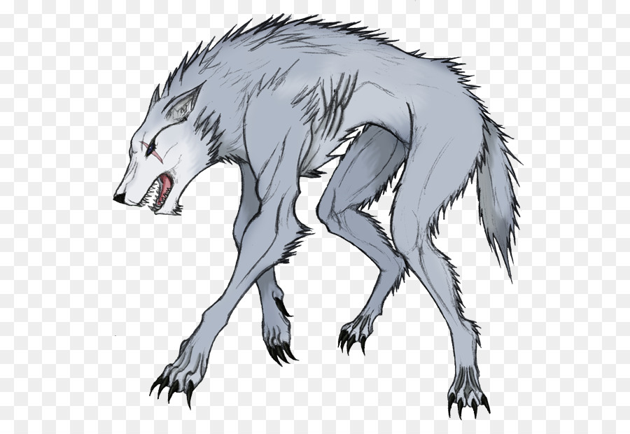 Hombre Lobo，Lobo Gris PNG