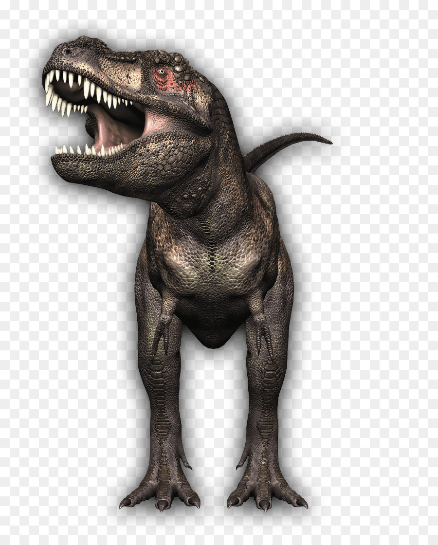 Carnívoro，Dinosaurio PNG