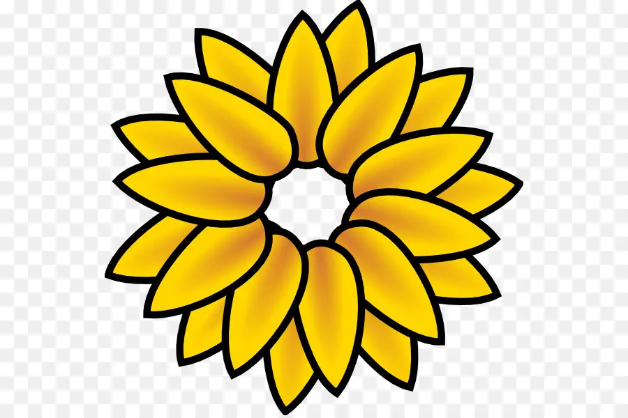 Girasol，Amarillo PNG