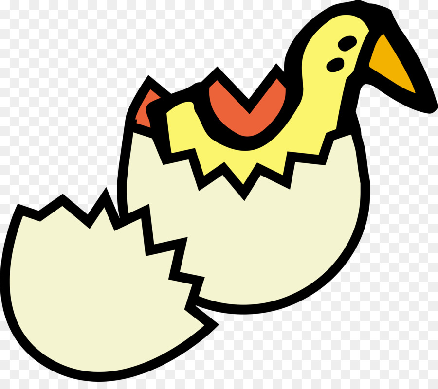 Pollo，La Cáscara De Huevo PNG