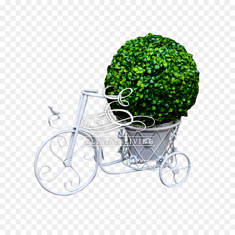 Bicicleta，Vehículo PNG