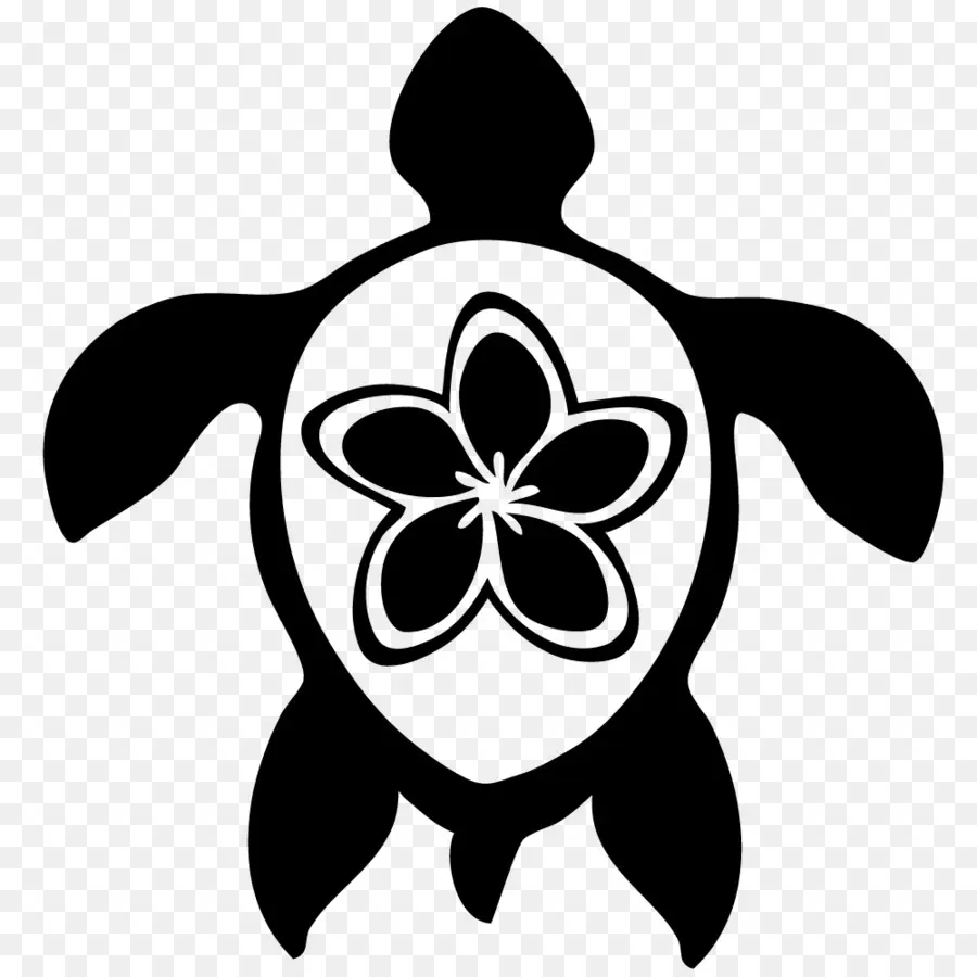 Tortuga，Hawaii PNG