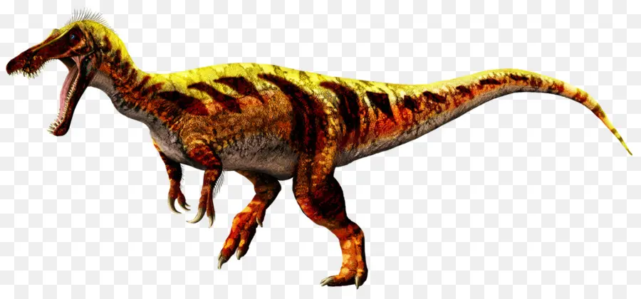 Baryonyx，Spinosaurus PNG