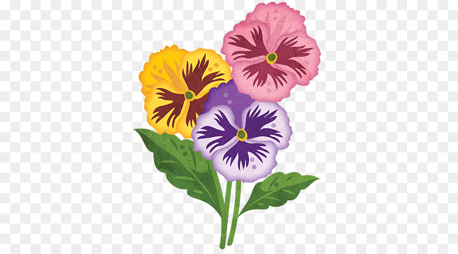 Pansy，Planta PNG