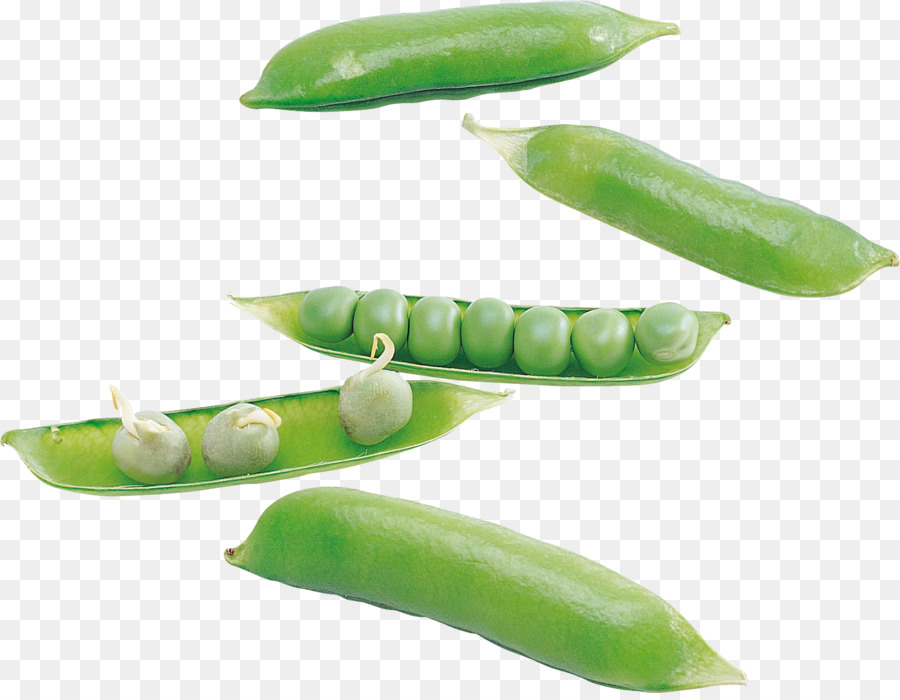 Pea，La Comida PNG