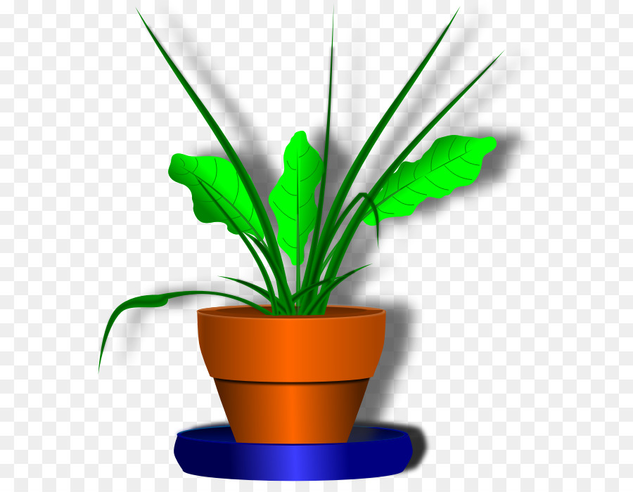 Planta De Interior，Planta PNG