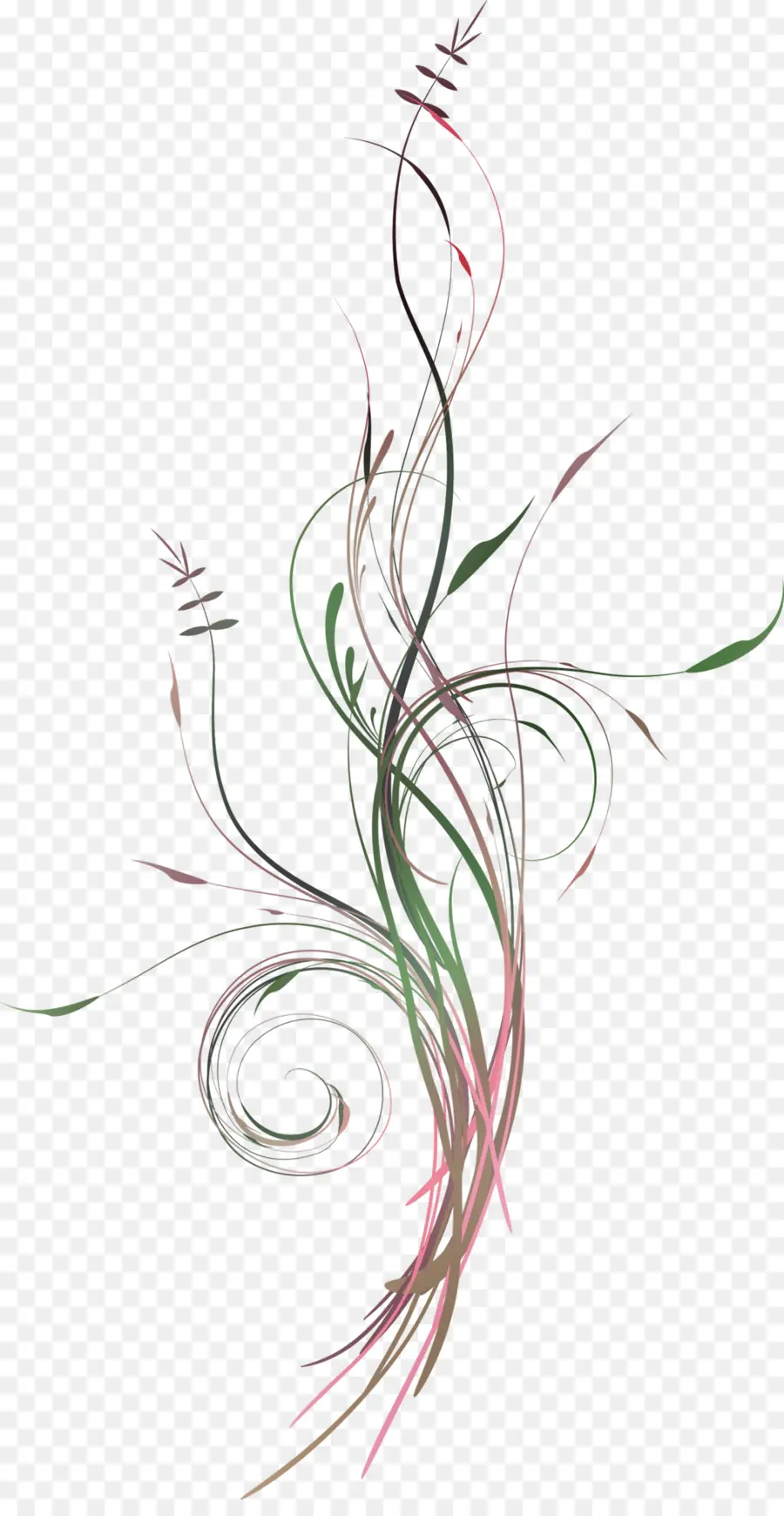 Arte，Flor PNG