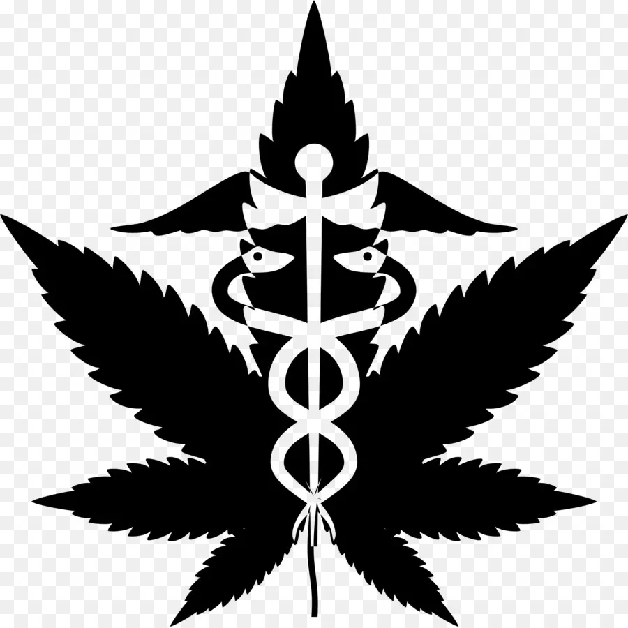 El Cannabis，El Cannabis Medicinal PNG