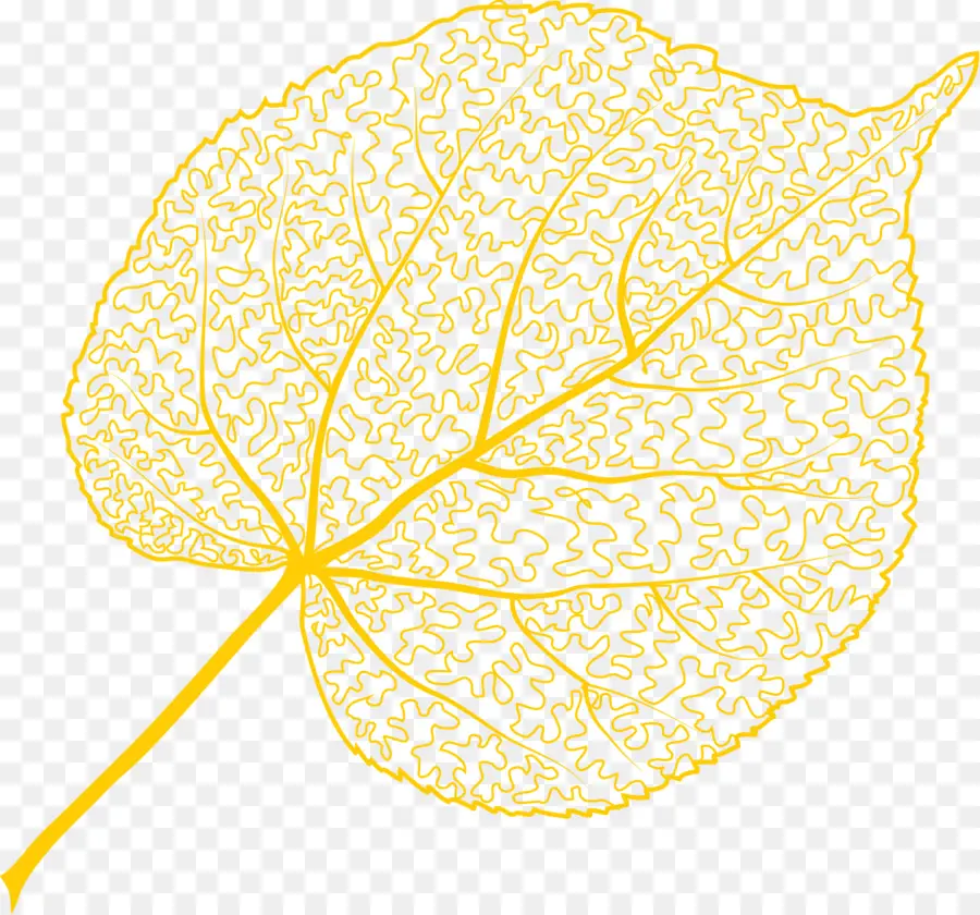 Aspen，Hoja PNG