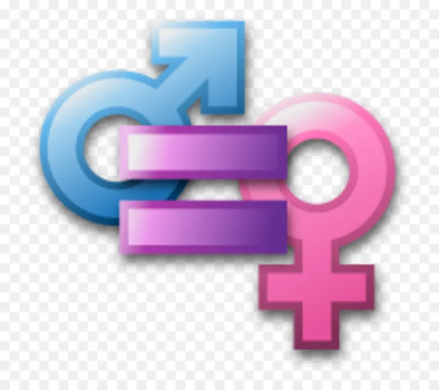 La Igualdad De Género，Género PNG
