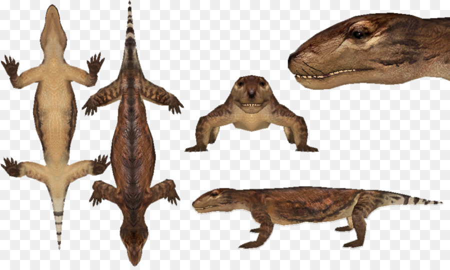 Thrinaxodon，Reptiles PNG