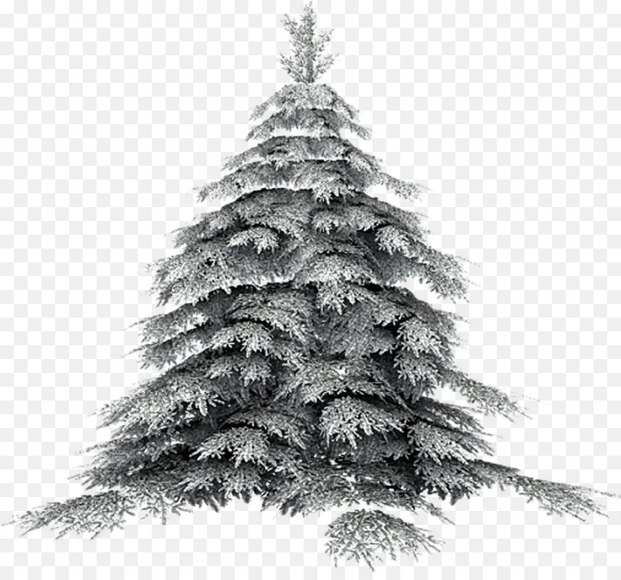 árbol，árbol De Navidad PNG